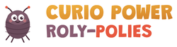 Curio Power and the Roly Polies - Home