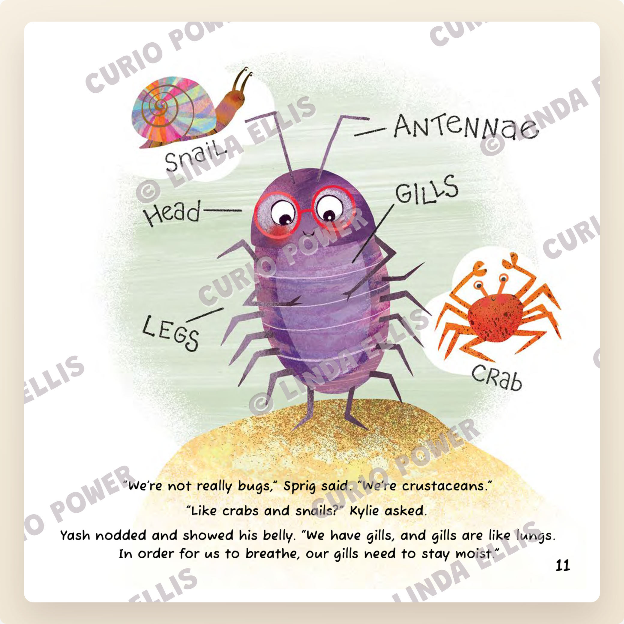Curio Power and the Roly-Polies: A Tiny Adventure About Curiosity, Sisters, and Nature